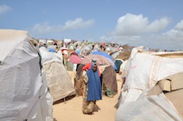 Armed gunmen running camps for famine victims steal their food and prevent them from leaving to search for aid elsewhere.  - Abdurrahman Warsameh/IPS