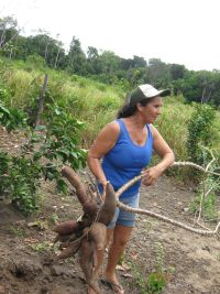 Benedita Nascimento grows cassava on her farm in Brazil's eastern Amazon jungle. - Mario Osava/IPS