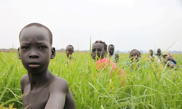 Red (8, foreground) and his friends are weeding in a sugarcane field on the Karuturi farm.  / Credit:Philipp Hedemann