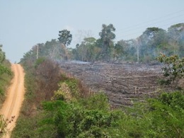 Rainforest cleared by burning in the state of Acre, Brazil.  - Credit: Mario Osava/IPS