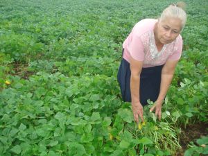 Socorro María Olivas shows her crop of good quality beans in Estelí, Nicaragua.  - Danilo Valladares/IPS