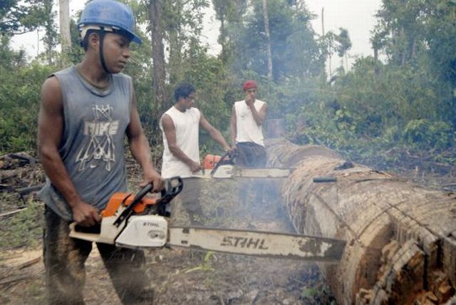 Deforestation in Nicaragua.  - Germán Miranda/IPS