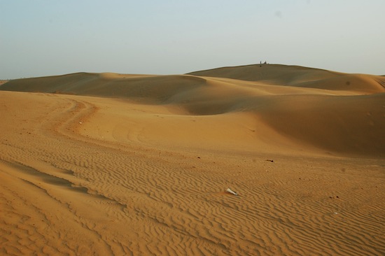 These sand dunes in the Thar Desert in India are one of identified sites for cheetah reintroduction. Credit: Malini Shankar/IPS -  Malini Shankar/IPS