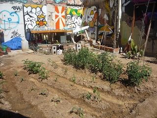 "Indignados" in Málaga transformed a waste lot into a community garden.  - Inés Benítez/IPS  