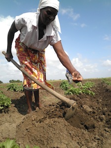 Female subsistence farmers, who form more than 70 percent of farmers on the continent, remain clueless about climate change issues. / Credit:Busani Bafana