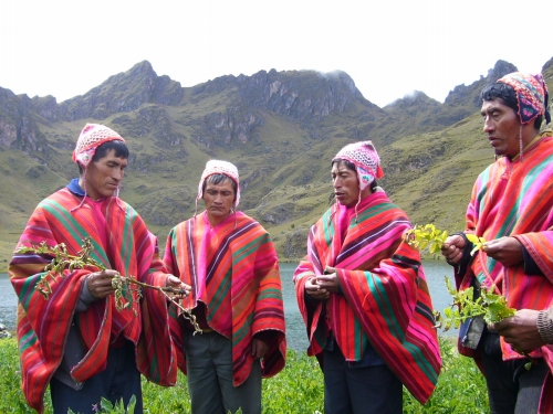 Guardians of the potato crop in Huama, Cuzco inspect frost and drought damage in the fields.  - Milagros Salazar/IPS 