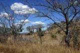 Tourism helps preserve Kruger Park in South Africa.  / Credit:Public domain
