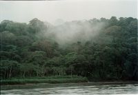 A cloud forest in Costa Rica.  / Credit:Germán Miranda/IPS