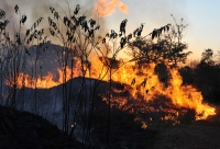 2010年，喜拉朵的大火情景。圖片來自：IPS。