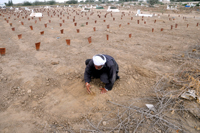 Burial ground for unwanted babies. - Fahim Siddiqi/IPS