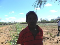 Caroline Ndlovu is one of over 100 smallholder farmers practising the water harvesting technique of using earth dams.  - Busani Bafana/IPS