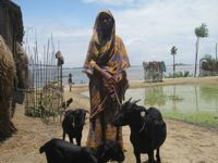 A beneficiary of the microfinance programme. - Naimul Haq/IPS.