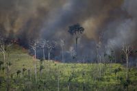 Fires in the Amazon. / Credit:Courtesy of Greenpeace