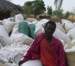 Montfort Salijeni and his unsold cotton. / Credit:Charles Mpaka 