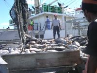 Mauritius is developing its fishing industry to become more competitive. / Credit:Nasseem Ackbarally/IPS
