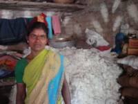 Meruga Padma nella sua casa mostra il cotone appena raccolto Nitin Jugran Bahuguna/IPS