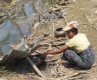 Una sopravvissuta al ciclone prepara da mangiare per la sua famiglia accanto a un fosso pieno di carcasse Mizzima News