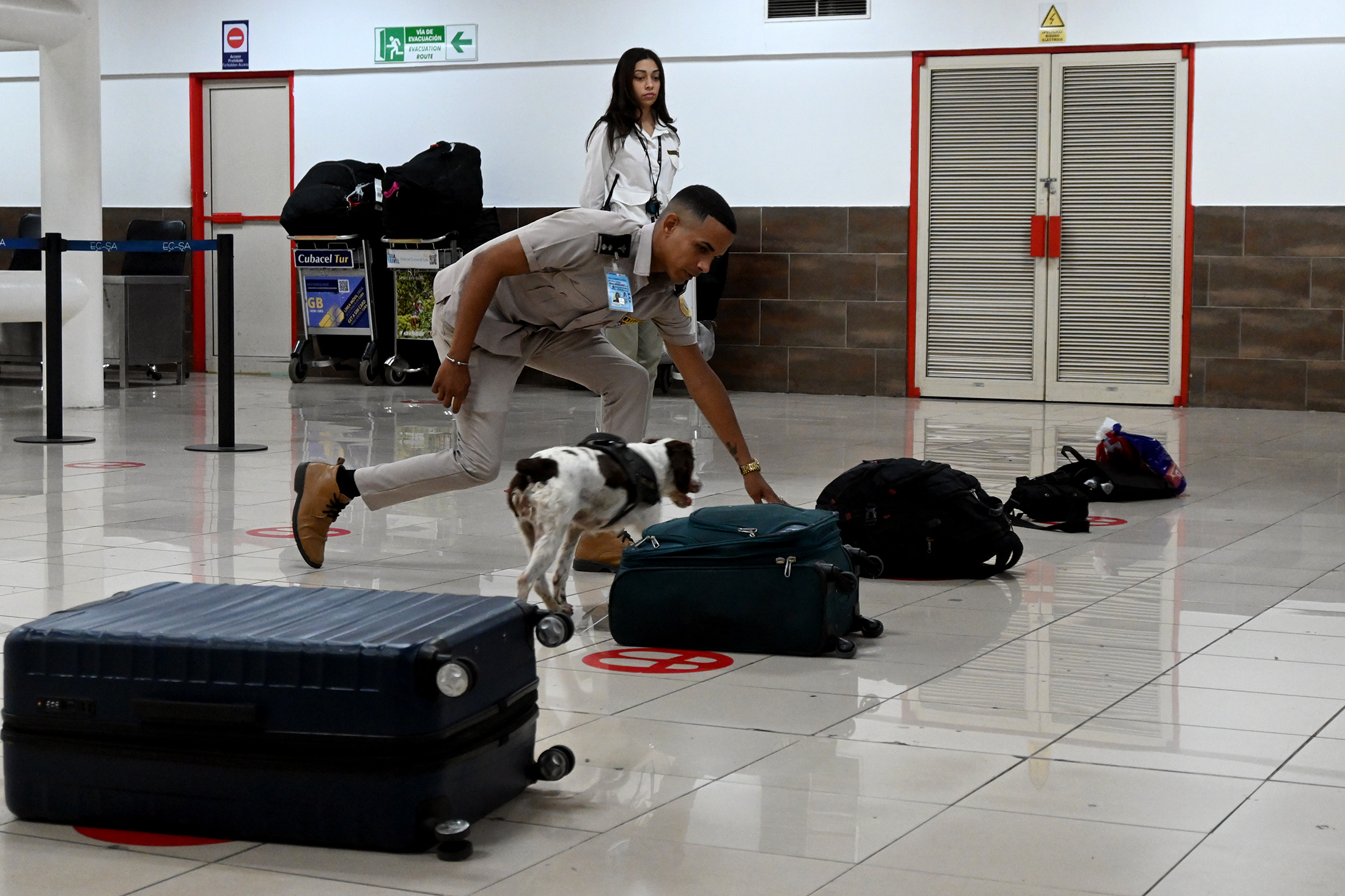 Kuvateksti: Tulliviranomaiset tarkistavat matkatavaroita Havannan José Martí - lentoasemalla. Vuoden 2024 aikana Kuubassa takavarikoitiin 1051 kiloa huumeita. Kuva: Jorge Luis Baños/IPS