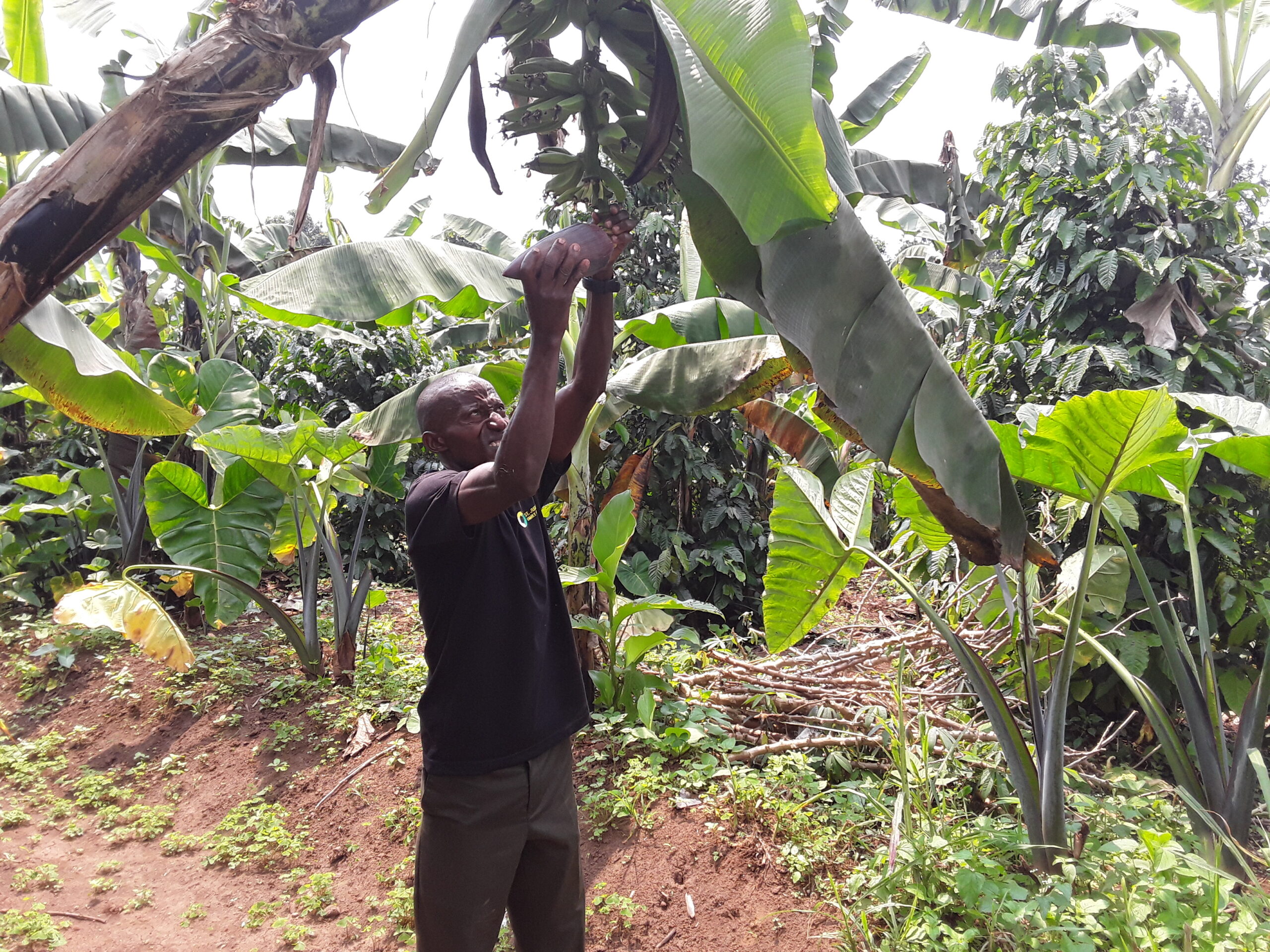 Nälänhädässä on tapahtunut hienoinen lasku vuodesta 2022 lähtien. Vaikka Aasiassa ja Etelä-Amerikassa on nähtävissä edistystä, nälkä lisääntyy Afrikassa ja Länsi-Aasiassa. Kuva: Joyce Chimbi / IPS.