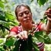 Coffee grower Lourdes Altamirano from the Nicaraguan cooperative Aldea Global, which produces Tierra Madre coffee.  Credit:Courtesy of Intermón Oxfam
