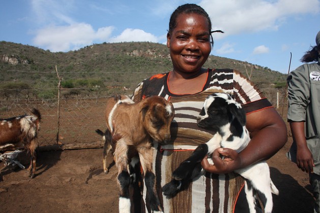 Nomsa Mthethwa, from Jozini in KwaZulu Natal Province, South Africa, has put her children through university from goat keeping. Credit: Busani Bafana/IPS