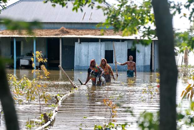 South Asia Floods: Women with goats come out of their submerged house, in Shibaloy, Manikganj district, Bangladesh. Credit: Farid Ahmed/IPS