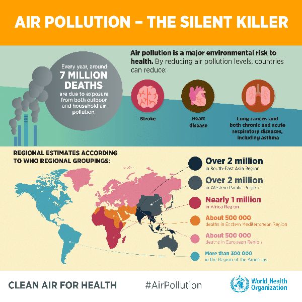 Around 7 million people die every year from exposure to fine particles in polluted air that penetrate deep into the lungs and cardiovascular system, causing diseases including stroke, heart disease, lung cancer, chronic obstructive pulmonary diseases and respiratory infections, including pneumonia