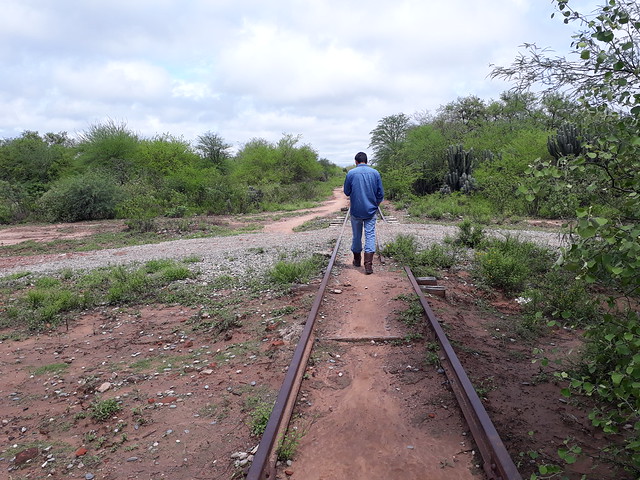 A man walks along an old, abandoned railway track in a rural area of Argentina’s Chaco region where most of the native forest has been cleared. This region accounts for the bulk of the nearly 180,000 hectares of forest that, according to official data, are lost each year in Argentina. CREDIT: Daniel Gutman /IPS