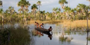 The peoples of the Xingu say agricultural activity beyond the borders of their territory has impacted fish populations (image: Alamy)
