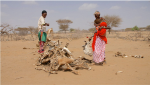 Darkuale Parsanti and his wife Mary Rampe find themselves in desperate times with their livestock wiped out by the drought in Kenya’s arid north. Credit: Charles Karis/IPS