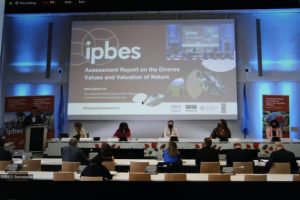 The launch of the IPBES Assessment Report on the Diverse Values and Valuation of Nature. The report argues that because nature is poorly valued, this is driving biodiversity loss. Credit: Busani Bafana/IPS