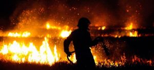 "Wildfires – well known for their disastrous consequences in [...] <a class=