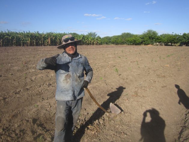 Osnir da Silva Rubez prepares the furrows that will take water from the São Francisco river to irrigate his crops in the Brazilian Semi-arid ecoregion. He refuses to join the local drip or micro-sprinkler irrigation system, which is more efficient in water use, fertilisation and soil protection. Credit: Mario Osava / IPS
