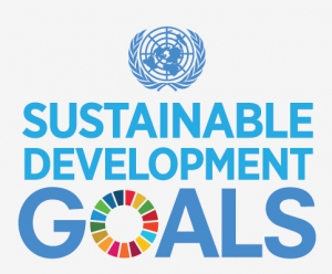 UN’s Development Goals: Rich Nations Lead While World’s Poor Lag Far Behind