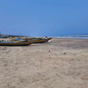The distinctive boats used by fishworkers in Andhra Pradesh, India. Their unique design, with a curvy end and flat middle, enables stability in the waters of Andhra Pradesh, reflecting the ingenuity of local fishermen. Credit: Aishwarya Bajpai/IPS