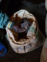Un sacco di cassiterite (biossido di stagno) in una casa di commercianti a Nyabibwe, RDC Gentile concessione di Global Witness