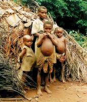 Ngala Killian Chimtom/IPS Ngala Killian Chimtom/IPS