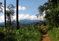 Danito Balete Danito Balete