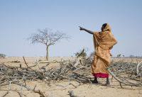 Anne Holmes/IPS Anne Holmes/IPS