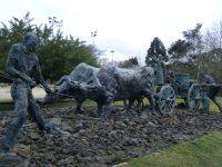 Andrew Fluck Andrew Fluck