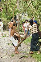 azmil77/flickr azmil77/flickr