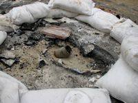 Erin Cunningham Erin Cunningham