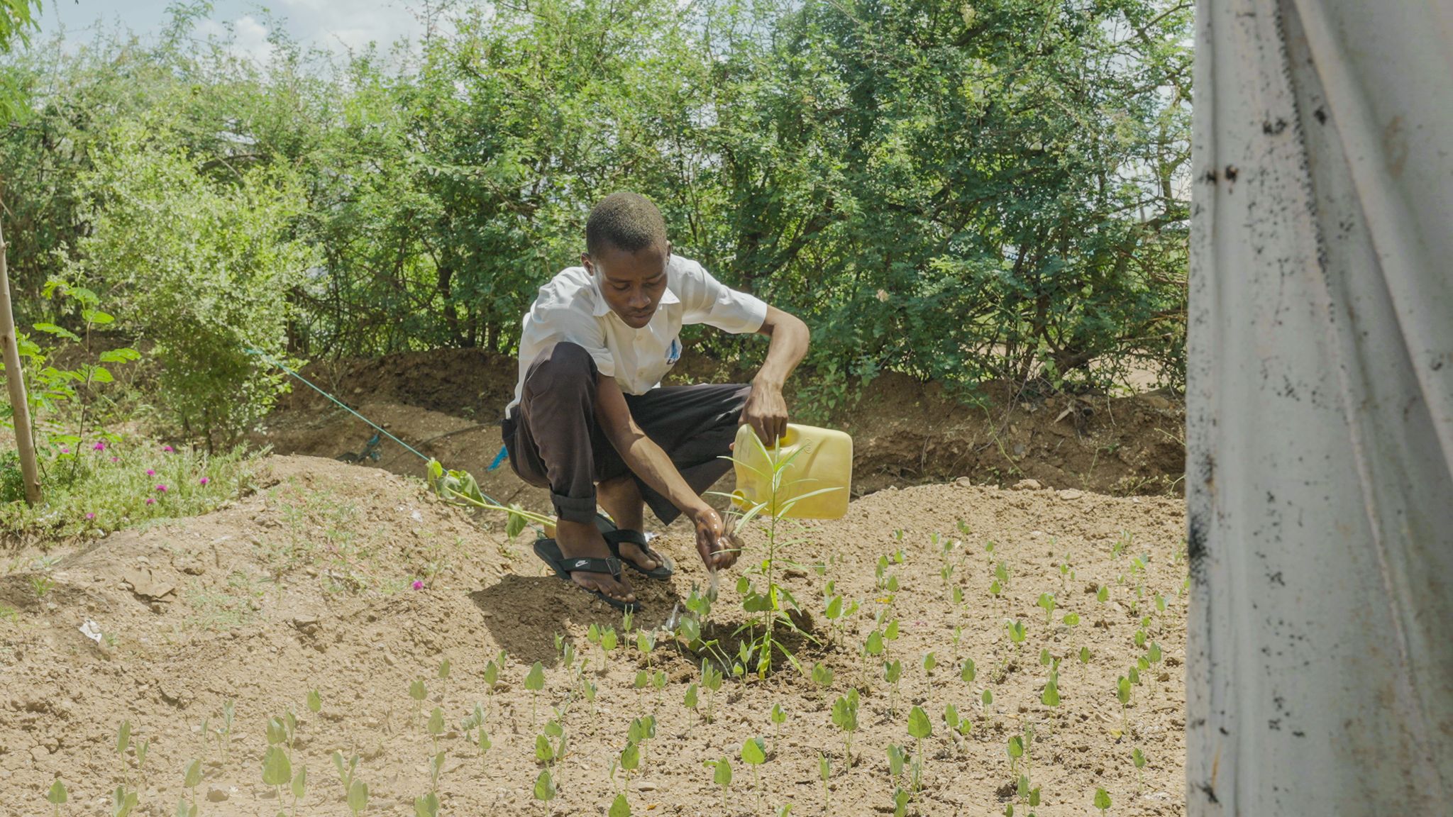 Kuvateksti: Burundilainen Lionel on istuttanut 70 puuta Kakuman pakolaisleirillä sijaitsevaan kotipihaansa. Kuva: Jeffrey Moyo/IPS.